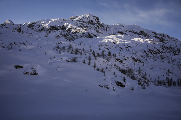 DSC_0117